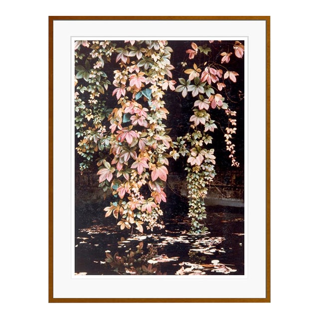 Autumnal Fall 1950s by Peter Cornelius Framed C-Print Photograph For Sale