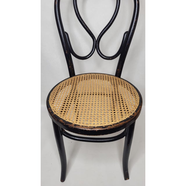 Omega Art Nouveau chair in curved, blackened wood / In the style of Thonet, Kohn New manual canework. Height 91 cm Seat...