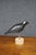 Early 20th Century Carved Black Crow Folk Art Decoy on Wood Base For Sale - Image 11 of 12