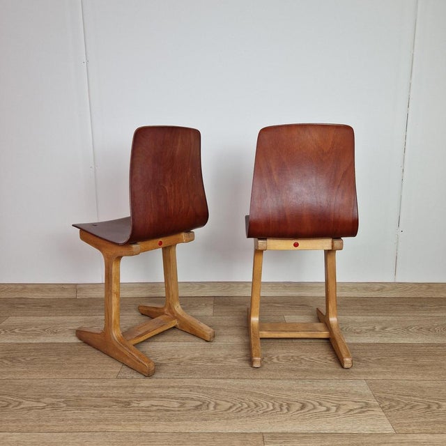 Set of Pagwood and Beech Children's Chairs by Adam Stegner for Flötotto, 1960s For Sale - Image 4 of 8