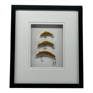 Vintage Framed Fishing Lures For Sale