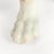 Antique Dresden Porcelain King Charles Spaniel Sculpture or Figurine For Sale - Image 15 of 18