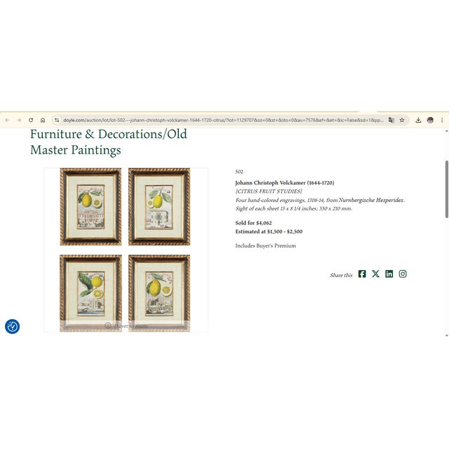 Johann Christoph Volckamer, Nürnbergische Hesperides, 1800s, Engraving & Paper, Set of 4 For Sale - Image 6 of 7