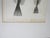 Mid 19th Century Us Pacifc Railroad Fish Lithograph Book Plate - A Pair For Sale - Image 4 of 5