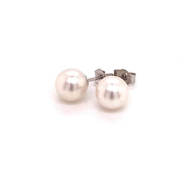 Akoya Pearl Stud Earrings 14k White Gold Certified For Sale In New York - Image 6 of 11