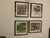 1917 Vintage DuPont Promotional Game Bird Framed Prints by Hunt & DeFeo - Set of 4 For Sale - Image 13 of 13