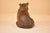 19th Century 19th Century Austrian Terracotta Bear For Sale - Image 5 of 7