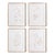 Blush Botanical Study, Set Of 4 For Sale