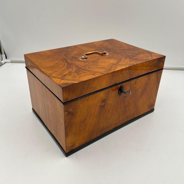 Large Biedermeier Chest in Walnut Veneer and Brass, 1820 For Sale - Image 6 of 18