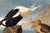 Not Yet Made - Made To Order King Duck, Vintage Art Print Reproduction From Birds of America (1827) by John James Audubon, 48″ × 32″ For Sale - Image 5 of 9