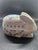 vintage Crowning Touch ceramic trinket box
