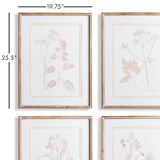 These faintly printed botanicals in soothing sepia tones are a subtle look. Finished with a double mat and natural wash...