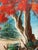 Vintage oil painting depicting a Royal Poinciana tree, a popular subject among Florida Highwaymen artists. The vibrant...