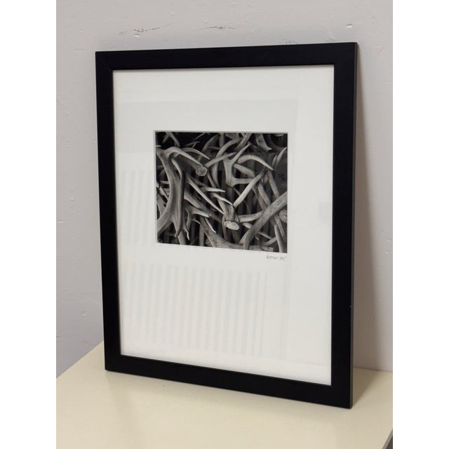 Design Plus Gallery presents a Contemporary Antler Study Photograph. This black and white composition focuses on layered...