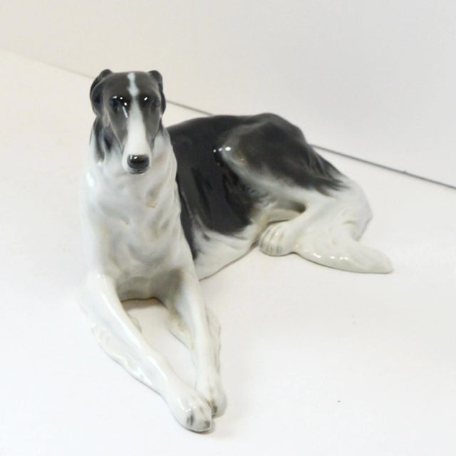 Exemplifying the grace and slender elegance of the Russian Wolfhound, this Rosenthal Bavaria Borzoi is a premier example...