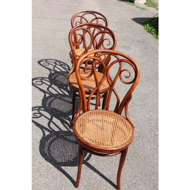 Wood 19th Century Bistro Chairs in the style of Thonet, 1890s, Set of 8 For Sale - Image 7 of 14