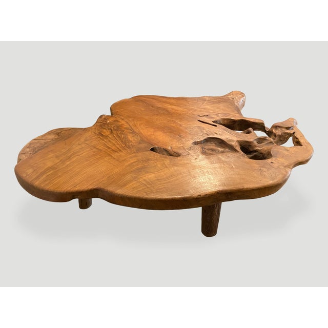 Wood Andrianna Shamaris Organic Teak Root Coffee Table For Sale - Image 7 of 18