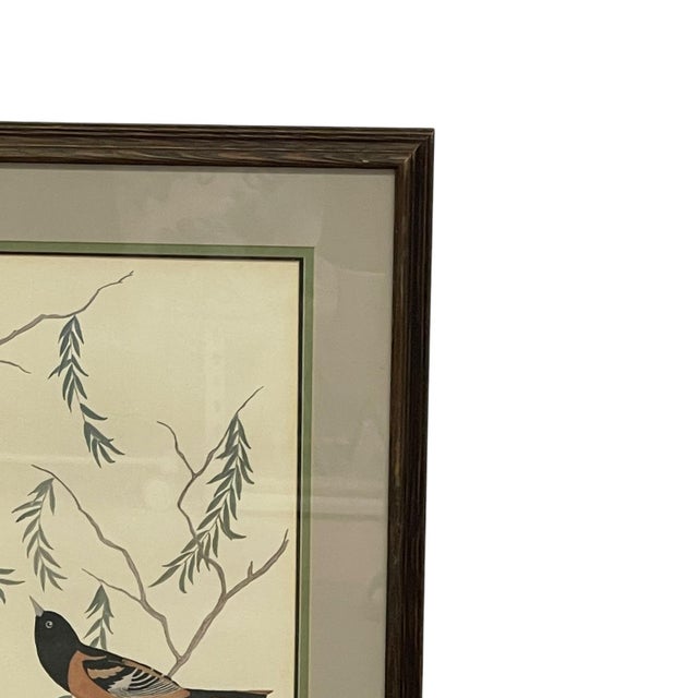 Vintage Signed Baltimore Orioles Bird Painting - Framed Wildlife Artwork. For Sale - Image 4 of 10
