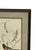 Vintage Signed Baltimore Orioles Bird Painting - Framed Wildlife Artwork. For Sale - Image 4 of 10
