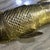 Large Antique Judaica Brass Articulated Fish Besamim Spice Box For Sale - Image 12 of 12
