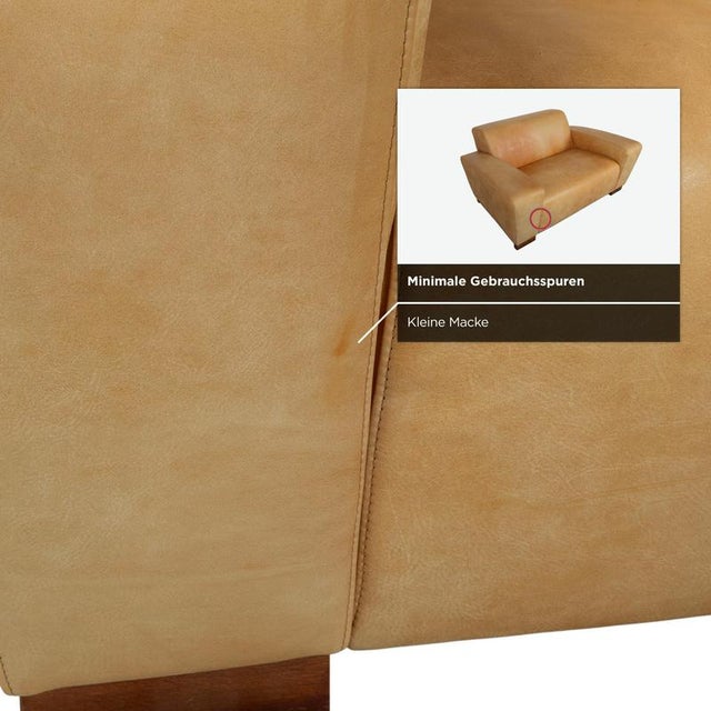 Cognac Leather Lounge Chair from Machalke For Sale - Image 9 of 17