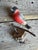 Folk Art Austrian Folk Art Carved Wood Bird #68, 1930s For Sale - Image 3 of 5