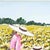 Oil on Canvas, Field of Flowers, Costanza Mantovani 2007