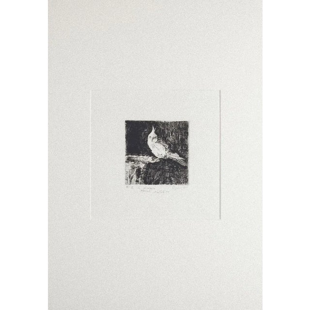 Parrot is an original etching artwork on paper realized by Cugia Gianni in 1995. Hand-signed on the lower right in pencil,...