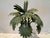 Hollywood Regency Pair of Tole Palm Trees in Planter Boxes For Sale - Image 3 of 7