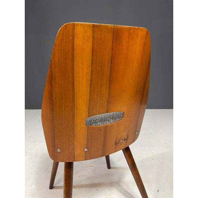 Mid-Century Modern Dining Chairs from Tatra, Former Czechoslovakia, 1960s, Set of 4 For Sale - Image 3 of 11