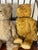 Brown Cute Antique Teddy Bears Collection With Bench For Sale - Image 8 of 9