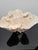 Large Specimen White Cup Coral For Sale - Image 6 of 11