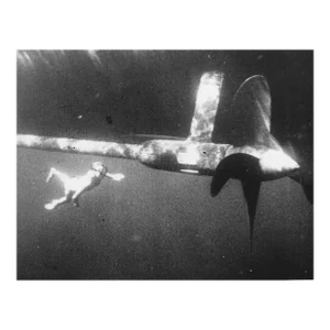 1935 Underwater Diver Black & White Photograph