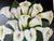 Vintage Graceli Mendoza Calla Lilies - Folk Art Oil on Board Painting, Wood Framed For Sale - Image 10 of 12