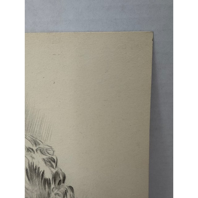 1940s Original Signed Graphite Illustration of Young Girl Holding Cat, 11.5 × 8.75 In. For Sale - Image 4 of 6