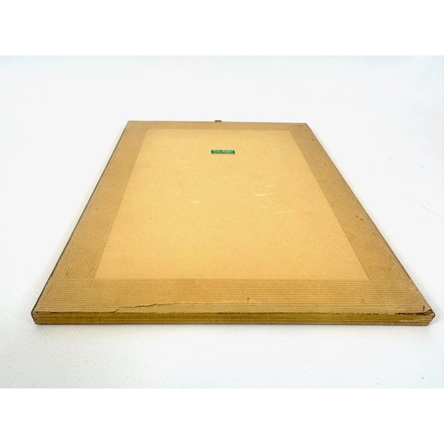 Johan Sebastian Leitner, Monkey, 1775, Copperplate Engraving For Sale - Image 10 of 13