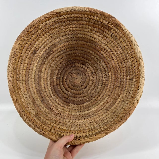 Early 20th Century Tonga Basket Zambia 14inch MATTER COLLECTION For Sale - Image 4 of 7