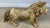 Plastic 1970s Lion Figurine For Sale - Image 7 of 7