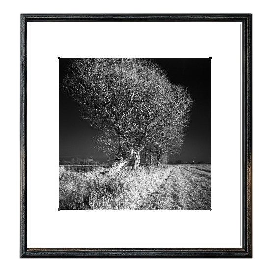 Paul Cooklin, West Thorpe IV, Edition of 50 For Sale