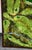 Textile Mid Century Modern Tapestry Wall Hanging Rug Abstract Golf Course Links Shag 5x4 For Sale - Image 7 of 12