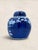 Amazing Antique English Blue & White Porcelain Ginger Jar For Sale In Tampa - Image 6 of 8