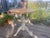 Vintage Side Table in Fir, 1960s For Sale - Image 15 of 18