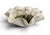 This iconic "Handkerchief" (or Mouchoir) planter is a masterclass in the biomorphic design movement. Created by Swiss neo-...