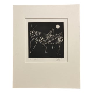 Mario Avati, Cricket, 1970, Mezzotint Print For Sale