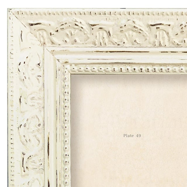 Various Artists Reproduction Vintage Fox Art Print (1) in Vintage Whitewashed Frame For Sale - Image 4 of 5