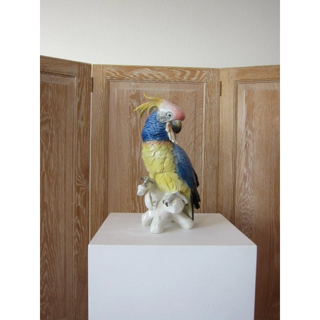 Spectacular life size beautiful colorful cockatoo parrot in porcelain signed Karl Ens from the 1930s. Height: 35 cm !...
