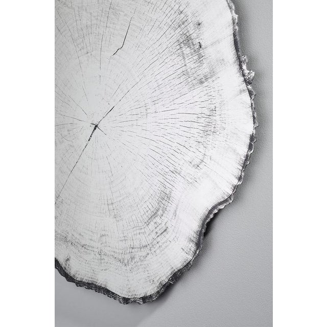 Arbo Dark Wood Edge Mirror L from Deknudt Mirrors For Sale - Image 4 of 15