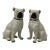 19th C Pair Large Staffordshire Pug Dogs For Sale