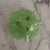 Stunning antique Northwood bowl. Green opalescent vaseline glass. Daisy Pearl pattern with ruffled edge. Three glass feet.