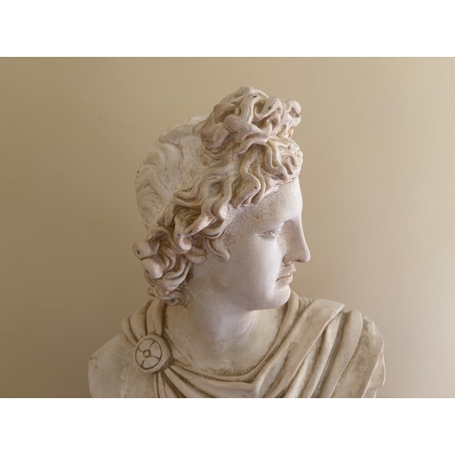 Late 20th Century Late 20th Century Large Neoclassical Plaster Bust of Apollo Belvedere For Sale - Image 5 of 12